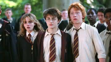 4 arcos de Harry Potter que podem ser abordados no novo spin-off - Reprodução / Warner Bros