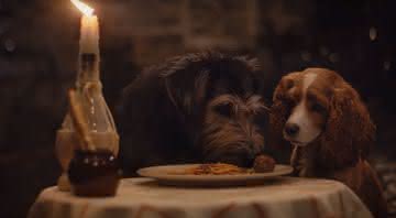 A Dama e o Vagabundo: clássica cena do espaguete é recriada em novo trailer do live-action - YouTube