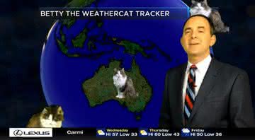Jeff Lyons apresentou a previsão do tempo ao lado de Betty, a gata de estimação dele - Facebook