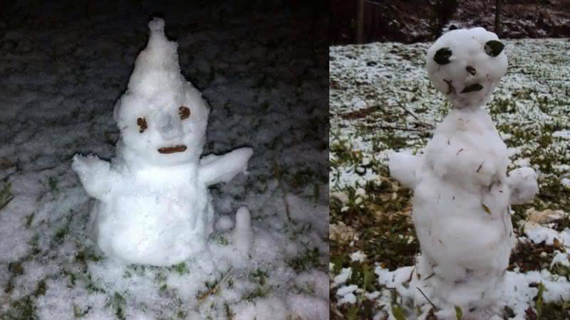 Bonecos de neve brasileiros fazem sucesso nas redes sociais - Reprodução/Twitter