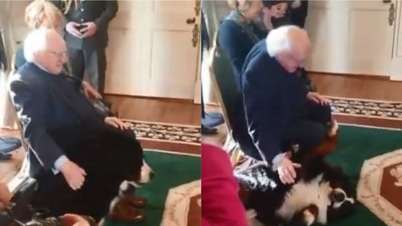 Cena do cão do presidente da Irlanda em evento oficial - Twitter
