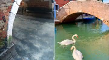 Imagens mostram canais de Veneza, na Itália, limpos após o isolamento pelo coronavírus - Facebook/Twitter