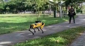 Cão-robô em vídeo no parque de Singapura - Youtube