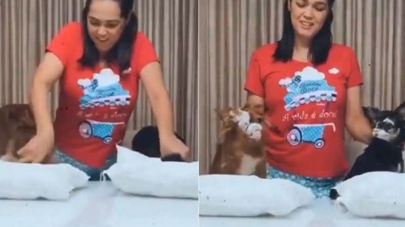 Mulher faz desafio da farinha com cachorros - Instagram
