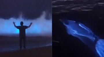 Fotógrafo registou as imagens de golfinhos em meio ao fenômeno conhecido por bioluminescência - Instagram