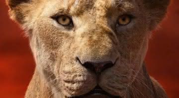 Sarabi, mãe de Simba em 'Rei Leão, deveria ser a protagonista do filme, segundo pesquisadores - Reprodução/Disney