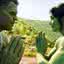 "Mulher-Hulk": Tatiana Maslany revela motivo de não ter falado sobre escalação para a série