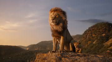 O Rei Leão - Divulgação/Disney