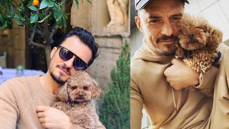 Orlando Bloom e Mighty, cachorro de estimação dele, morto após dias desaparecido - Reprodução/Instagram