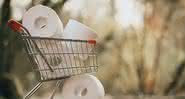 Homem comprou 4,8 mil rolos de papel higiênico e 150 litros de álcool em gel para vender mais caro durante a quarentena e acabou se dando mal - Pixabay