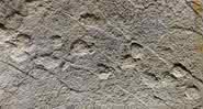 Pegadas de dinossauro são encontradas no topo de caverna na França - Rémi Flament