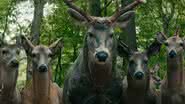 Por que os cervos são assustadores em "O Mundo Depois de Nós", da Netflix? (Foto: Divulgação/Netflix)