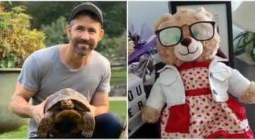 Ryan Reynolds quer ajudar Mara Soriano, de 28 anos, a reencontrar urso de pelúcia com a gravação da voz da mãe falecida dela - Reprodução/Instagram/Twitter