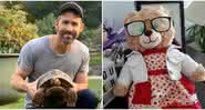 Ryan Reynolds quer ajudar Mara Soriano, de 28 anos, a reencontrar urso de pelúcia com a gravação da voz da mãe falecida dela - Reprodução/Instagram/Twitter