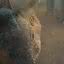 "Sandman": Novo vídeo mostra efeitos visuais para criação de Gregory; assista