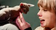 Taylor Swift se diverte ao lado de um gatinho nos bastidores de Cats - YouTube