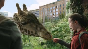 "The Last of Us" usou uma girafa real para recriar famosa cena do jogo - Reprodução: HBO Max