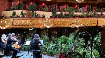 UceLi Quartet abriu a temporada no Gran Teatre del Liceu com uma plateia de mais de duas mil plantas - uceli_quartet/Instagram