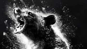 "Urso do Pó Branco", novo filme de Elizabeth Banks, ganha trailer eletrizante - Divulgação/Universal Pictures