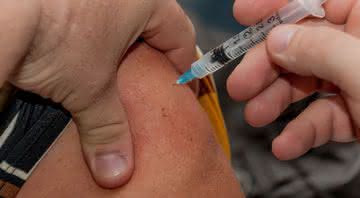 Primeiro lote de vacina chega em São Paulo - Pixabay