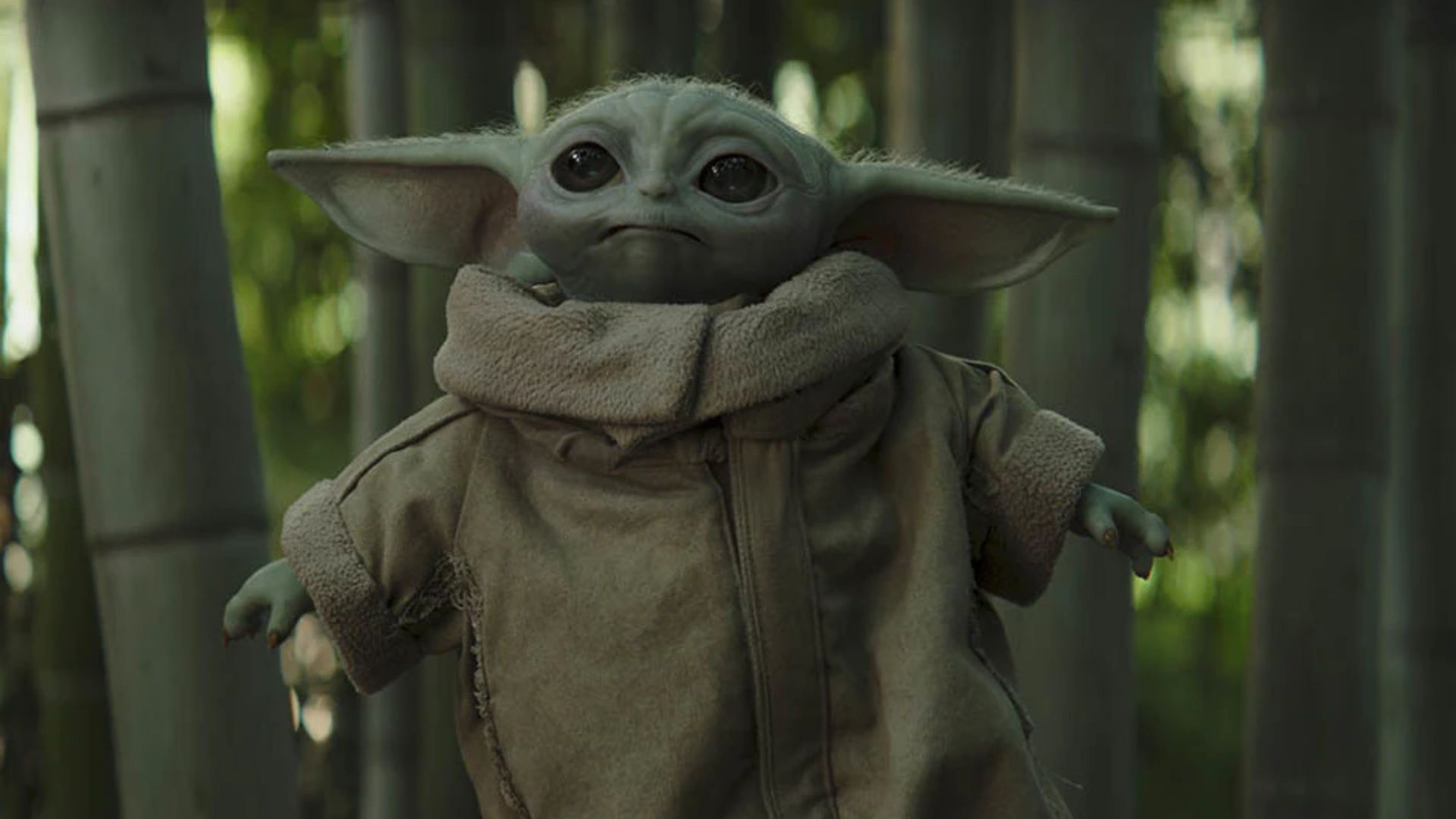 Grogu nem mesmo é parente do Mestre Yoda, mas as similaridades entre os dois já ajudaram na fama do "Baby Yoda" (Foto: Divulgação/Lucasfilm)