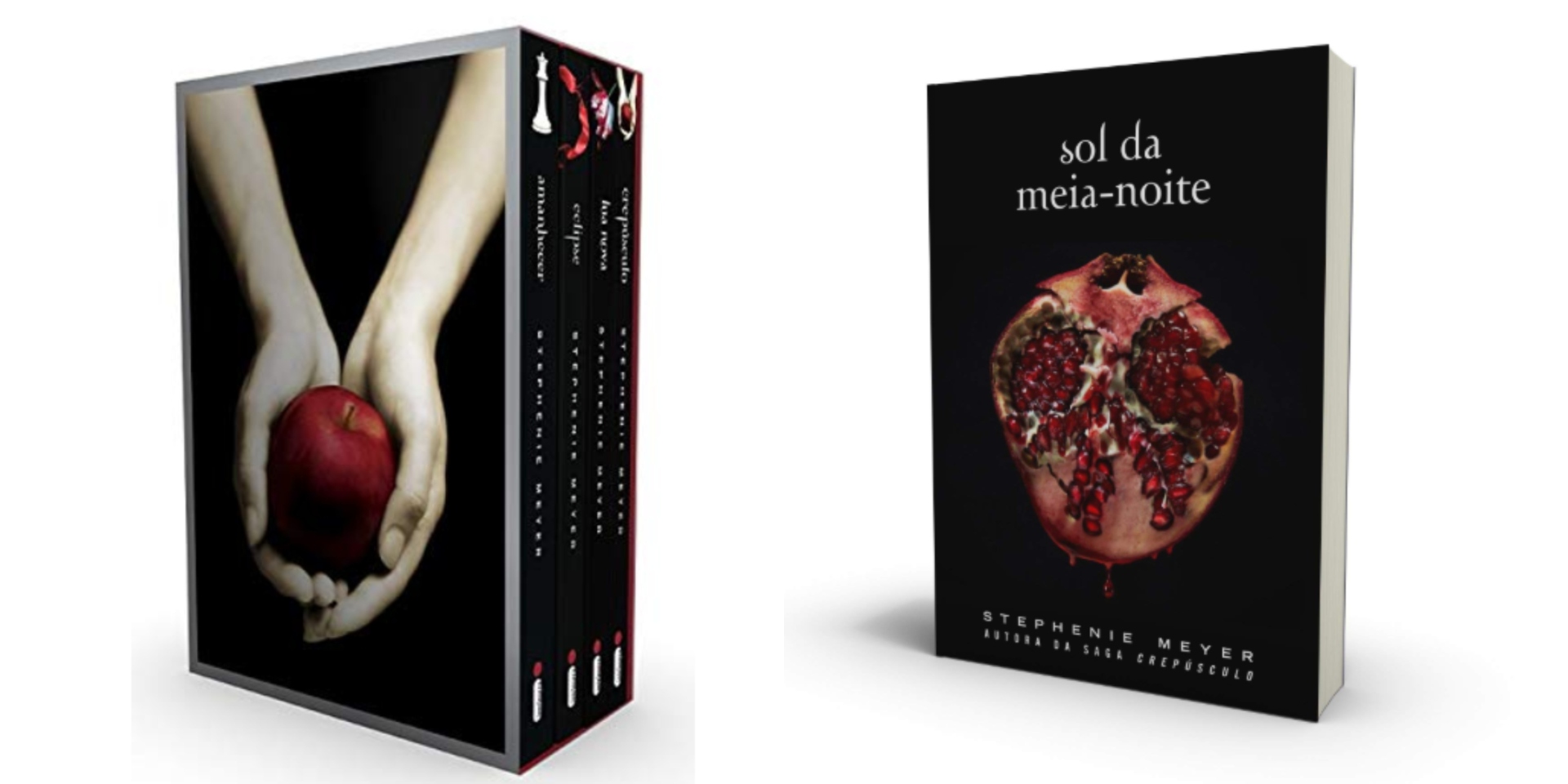 Box Stephenie Meyer: Crepúsculo + Lua Nova + Eclipse + Amanhecer (en  Portugués)